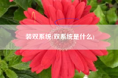 装双系统(双系统是什么)