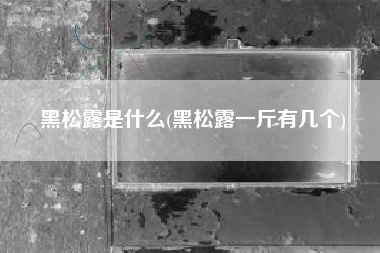 黑松露是什么(黑松露一斤有几个)