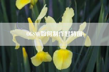 OGSM(如何制作甘特图)