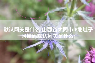 默认网关是什么(山西省大同市IP地址子网掩码默认网关是什么)