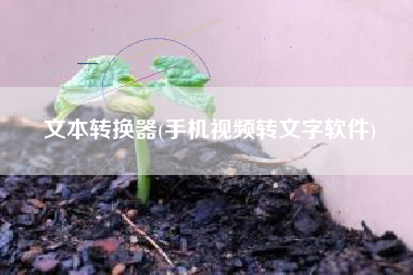 文本转换器(手机视频转文字软件)