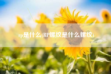rp是什么(RP螺纹是什么螺纹)