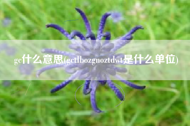 gc什么意思(gctlbozgnoztdwt是什么单位)
