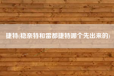 捷特(稳奈特和雷都捷特哪个先出来的)