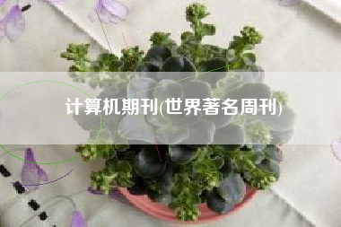 计算机期刊(世界著名周刊)