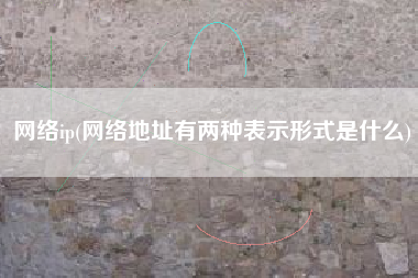 网络ip(网络地址有两种表示形式是什么)