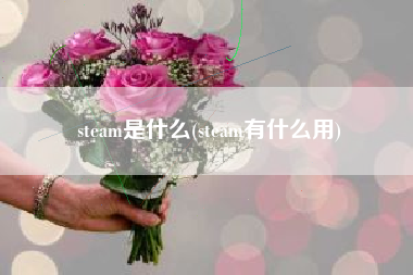steam是什么(steam有什么用)