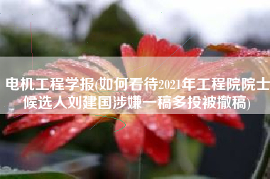 电机工程学报(如何看待2021年工程院院士候选人刘建国涉嫌一稿多投被撤稿)