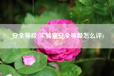 安全等级(实验室安全等级怎么评)