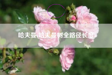哈夫曼(哈夫曼树全路径长度)