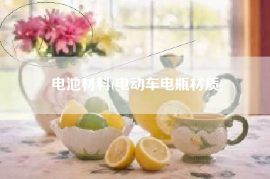 电池材料(电动车电瓶材质)