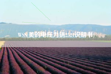 WSS(美的电压力锅2521说明书)