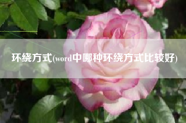 环绕方式(word中哪种环绕方式比较好)
