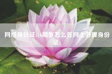 网络身份证(16周岁怎么在网上办理身份证)