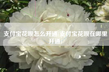 支付宝花呗怎么开通(支付宝花呗在哪里开通)