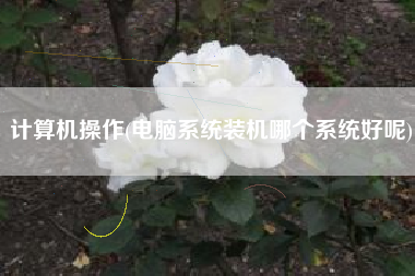 计算机操作(电脑系统装机哪个系统好呢)