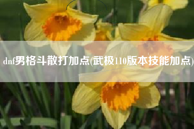 dnf男格斗散打加点(武极110版本技能加点)