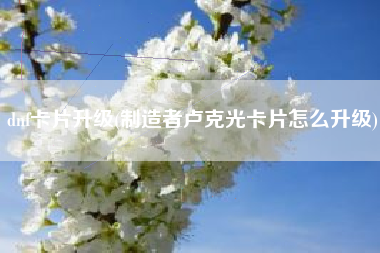 dnf卡片升级(制造者卢克光卡片怎么升级)