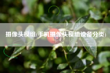 摄像头模组(手机摄像头模组设备分类)