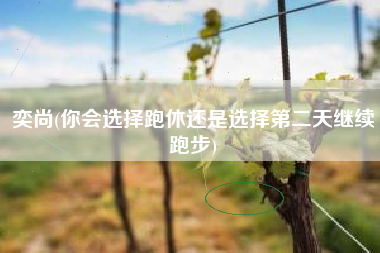 奕尚(你会选择跑休还是选择第二天继续跑步)
