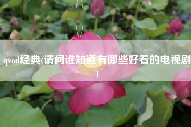 qvod经典(请问谁知道有哪些好看的电视剧)