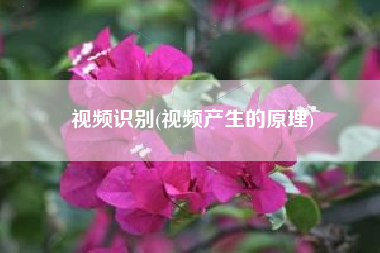 视频识别(视频产生的原理)