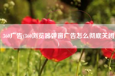 360广告(360浏览器弹窗广告怎么彻底关闭)