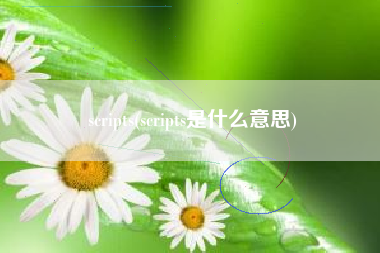 scripts(scripts是什么意思)