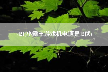 d21(小霸王游戏机电源是12伏)