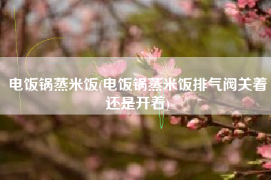 电饭锅蒸米饭(电饭锅蒸米饭排气阀关着还是开着)