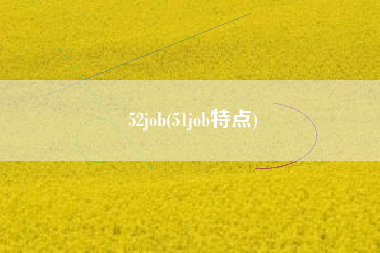 52job(51job特点)