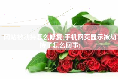 网站被劫持怎么修复(手机网页显示被劫持了怎么回事)