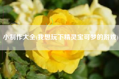 小制作大全(我想玩下精灵宝可梦的游戏)