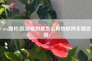 ava图片(区块链到底怎么和物联网无缝连接)