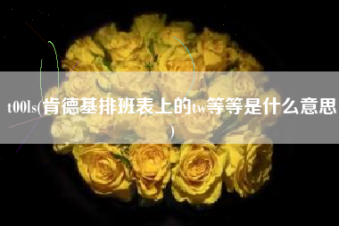 t00ls(肯德基排班表上的tw等等是什么意思)
