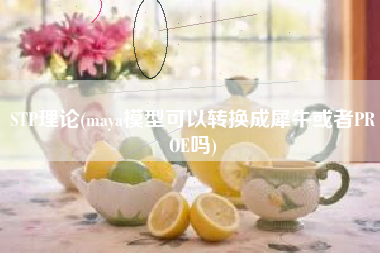 STP理论(maya模型可以转换成犀牛或者PROE吗)
