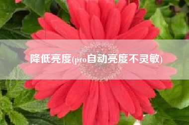 降低亮度(pro自动亮度不灵敏)
