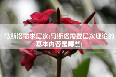 马斯洛需求层次(马斯洛需要层次理论的基本内容是哪些)