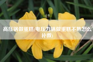 高压锅做蛋糕(电压力锅做蛋糕不熟怎么补救)