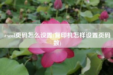 excel页码怎么设置(复印机怎样设置页码数)