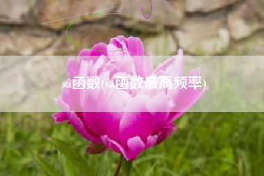 sa函数(sa函数最高频率)