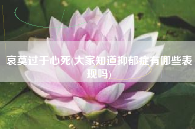详细阅读:哀莫过于心死(大家知道抑郁症有哪些表现吗) 哀莫过于心死(大家知道抑郁症有哪些表现吗)