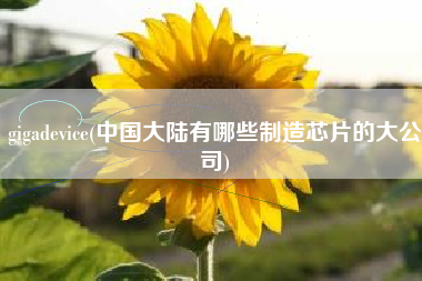 gigadevice(中国大陆有哪些制造芯片的大公司)