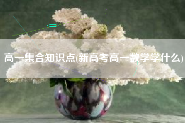 高一集合知识点(新高考高一数学学什么)