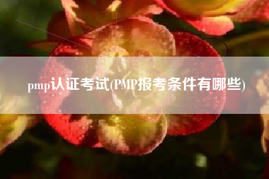 pmp认证考试(PMP报考条件有哪些)