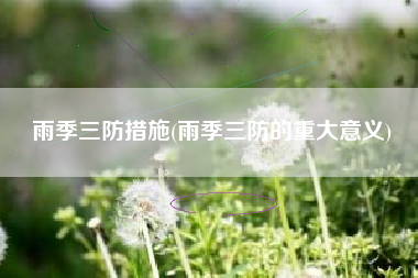 雨季三防措施(雨季三防的重大意义)