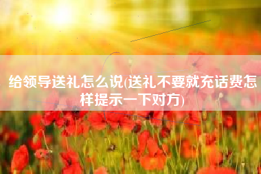 给领导送礼怎么说(送礼不要就充话费怎样提示一下对方)