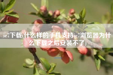 ie7下载(什么样的手机支持ie7浏览器为什么下载之后安装不了)