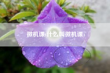 微机课(什么叫微机课)