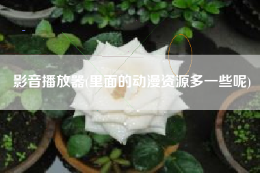 影音播放器(里面的动漫资源多一些呢)